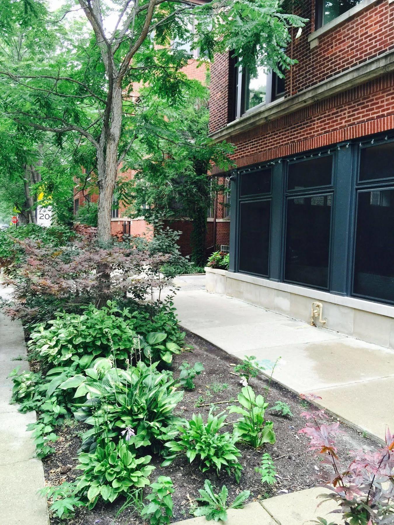 House 5863- Chicago'S Premier Bed And Breakfast Exteriér fotografie
